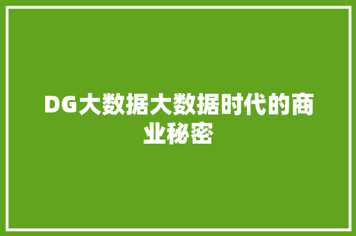 DG大数据大数据时代的商业秘密 Web前端