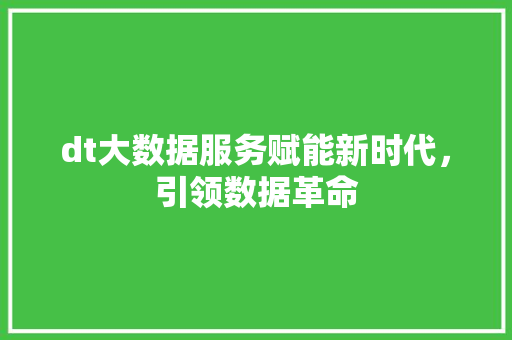 dt大数据服务赋能新时代，引领数据革命 WordPress教程