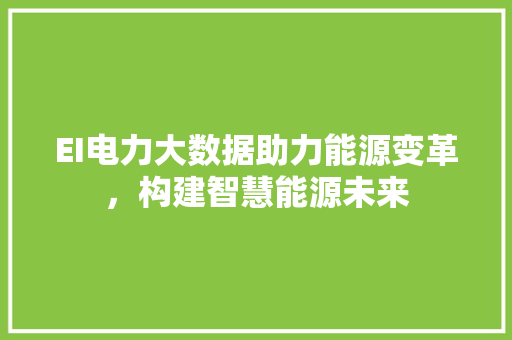 EI电力大数据助力能源变革，构建智慧能源未来