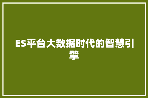 ES平台大数据时代的智慧引擎