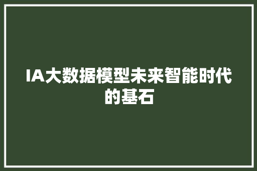 IA大数据模型未来智能时代的基石