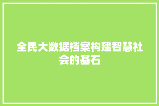 全民大数据档案构建智慧社会的基石