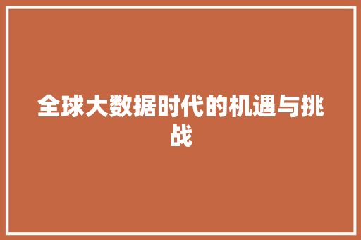全球大数据时代的机遇与挑战