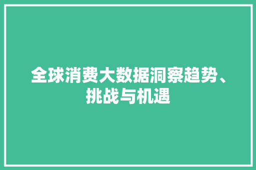 全球消费大数据洞察趋势、挑战与机遇