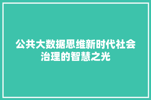 公共大数据思维新时代社会治理的智慧之光