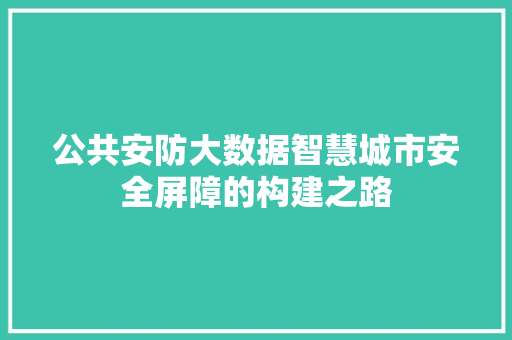 公共安防大数据智慧城市安全屏障的构建之路