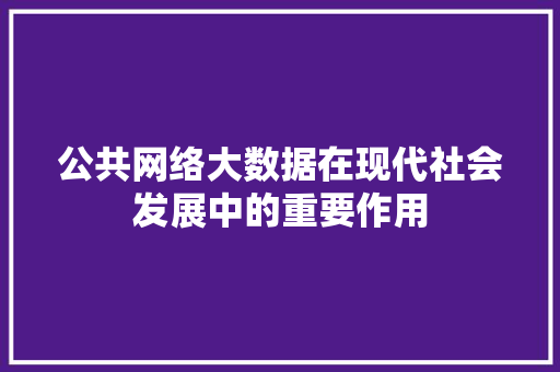 公共网络大数据在现代社会发展中的重要作用