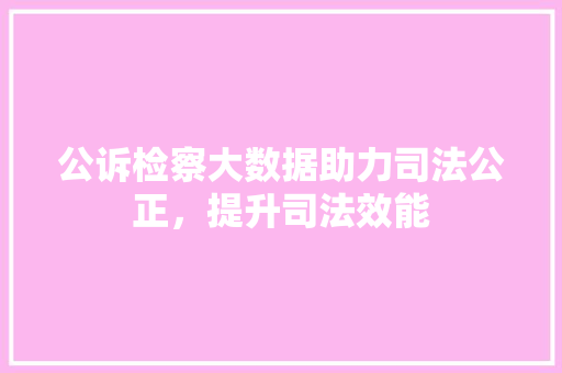 公诉检察大数据助力司法公正，提升司法效能