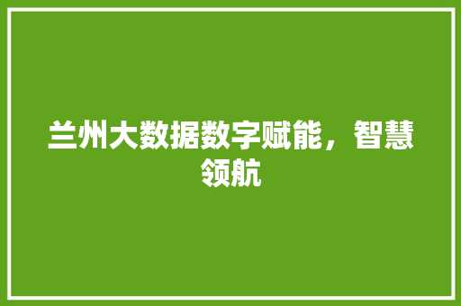 兰州大数据数字赋能，智慧领航