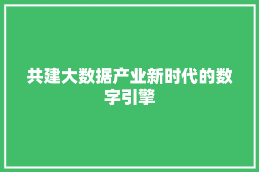 共建大数据产业新时代的数字引擎