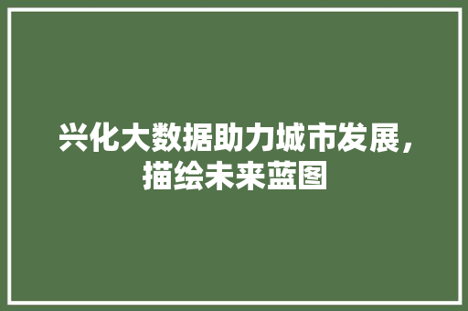 兴化大数据助力城市发展，描绘未来蓝图