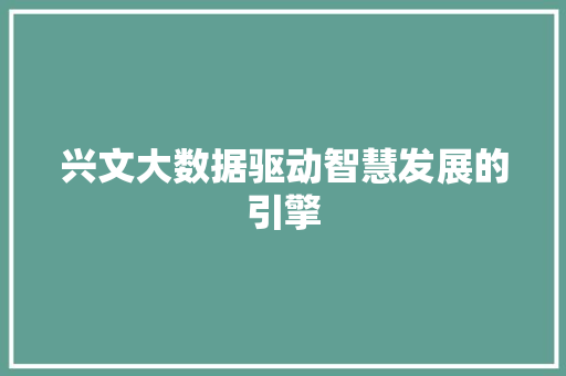 兴文大数据驱动智慧发展的引擎