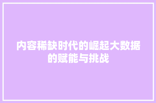 内容稀缺时代的崛起大数据的赋能与挑战