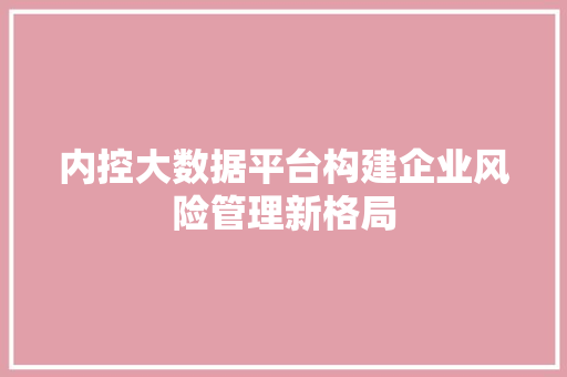 内控大数据平台构建企业风险管理新格局