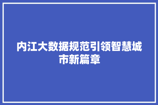 内江大数据规范引领智慧城市新篇章