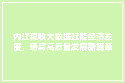 内江税收大数据赋能经济发展，谱写高质量发展新篇章