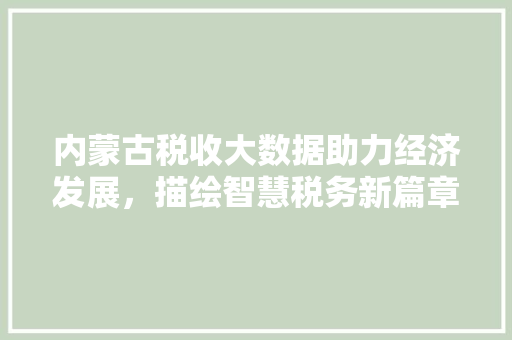 内蒙古税收大数据助力经济发展，描绘智慧税务新篇章