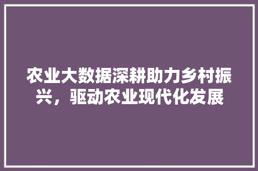 农业大数据深耕助力乡村振兴，驱动农业现代化发展