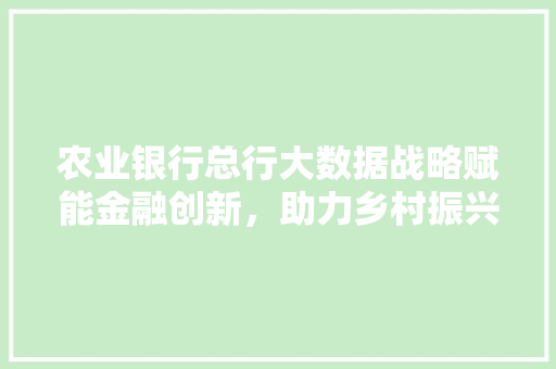 农业银行总行大数据战略赋能金融创新，助力乡村振兴