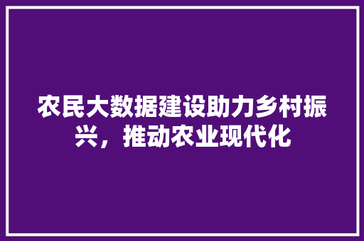 农民大数据建设助力乡村振兴，推动农业现代化