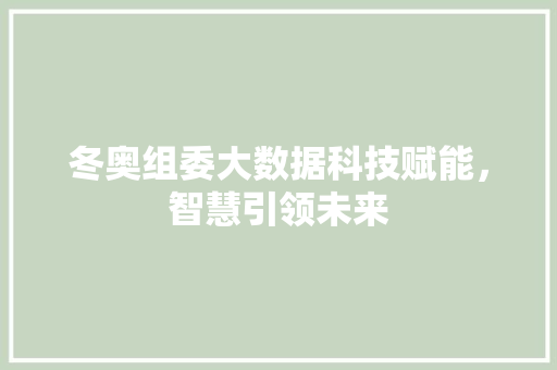 冬奥组委大数据科技赋能，智慧引领未来