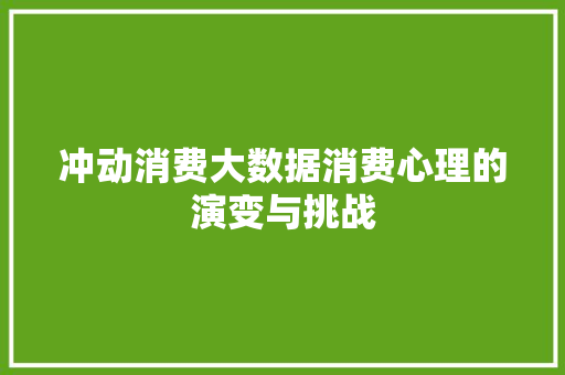 冲动消费大数据消费心理的演变与挑战