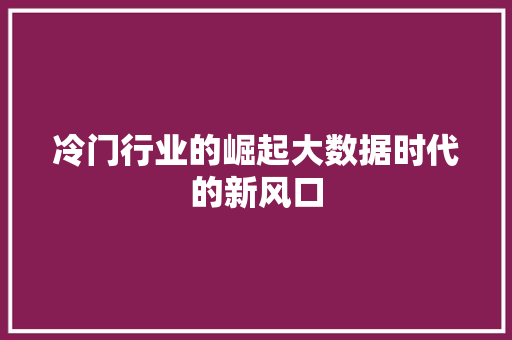 冷门行业的崛起大数据时代的新风口