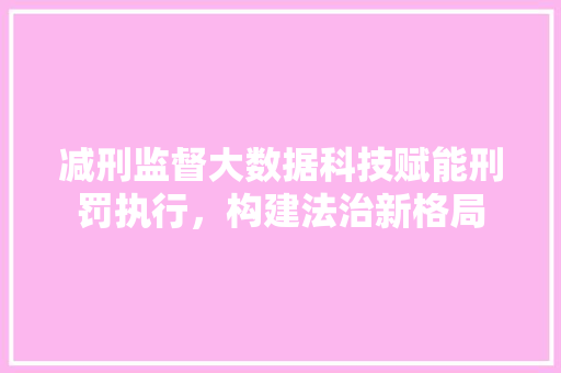 减刑监督大数据科技赋能刑罚执行，构建法治新格局