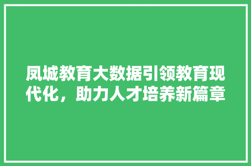 凤城教育大数据引领教育现代化，助力人才培养新篇章