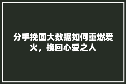 分手挽回大数据如何重燃爱火，挽回心爱之人