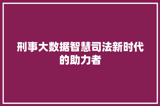刑事大数据智慧司法新时代的助力者
