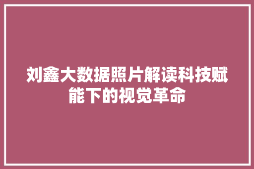 刘鑫大数据照片解读科技赋能下的视觉革命