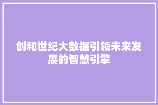 创和世纪大数据引领未来发展的智慧引擎