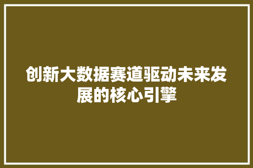创新大数据赛道驱动未来发展的核心引擎