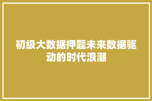 初级大数据押题未来数据驱动的时代浪潮