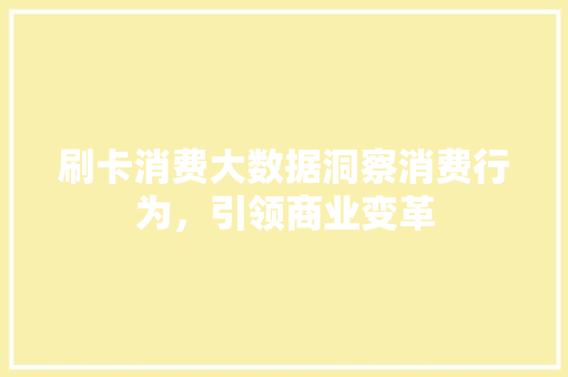 刷卡消费大数据洞察消费行为，引领商业变革