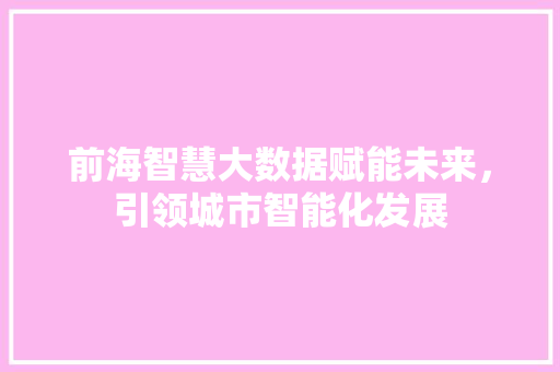 前海智慧大数据赋能未来，引领城市智能化发展