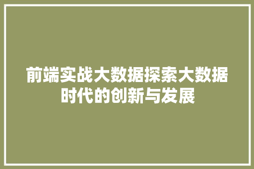 前端实战大数据探索大数据时代的创新与发展