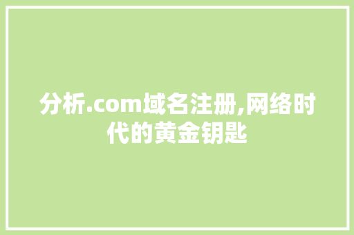 分析.com域名注册,网络时代的黄金钥匙