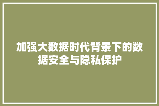 加强大数据时代背景下的数据安全与隐私保护
