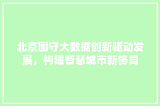 北京固守大数据创新驱动发展，构建智慧城市新格局