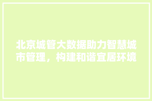 北京城管大数据助力智慧城市管理，构建和谐宜居环境