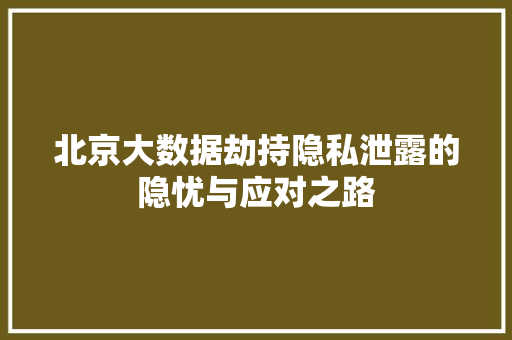 北京大数据劫持隐私泄露的隐忧与应对之路