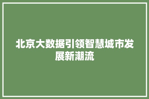 北京大数据引领智慧城市发展新潮流