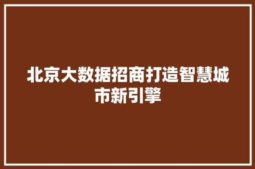 北京大数据招商打造智慧城市新引擎
