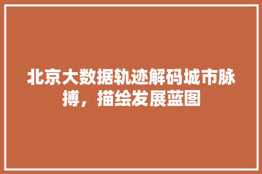 北京大数据轨迹解码城市脉搏，描绘发展蓝图