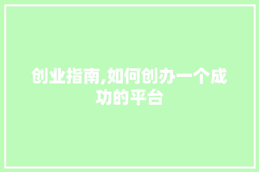创业指南,如何创办一个成功的平台