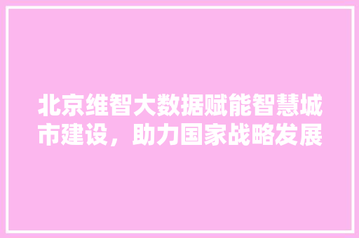 北京维智大数据赋能智慧城市建设，助力国家战略发展