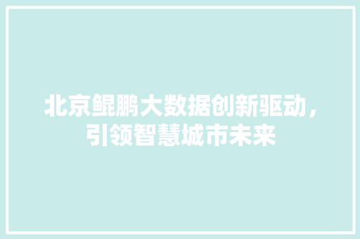北京鲲鹏大数据创新驱动，引领智慧城市未来