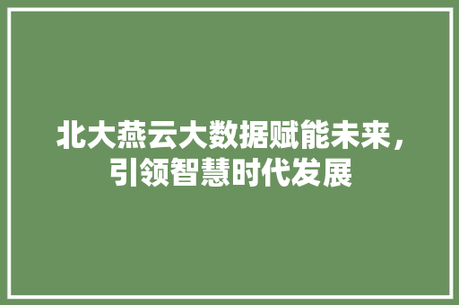 北大燕云大数据赋能未来，引领智慧时代发展